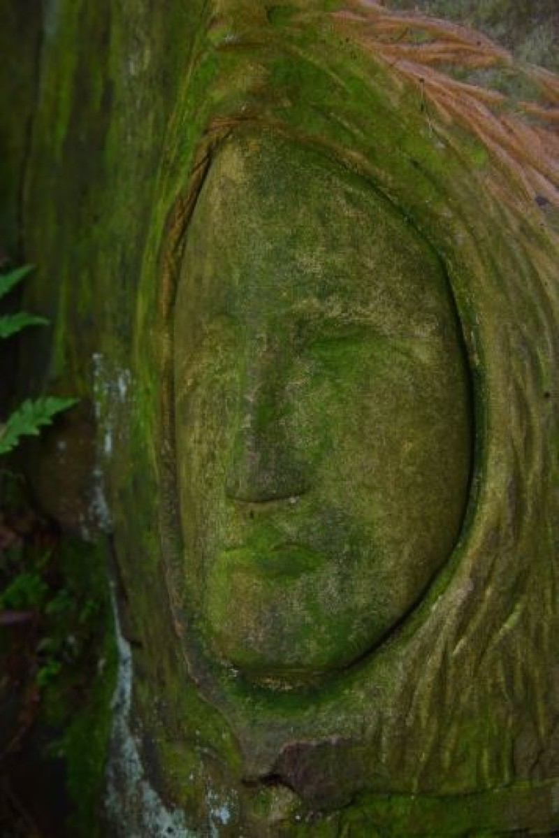Other image for Melvin is the face behind the faces